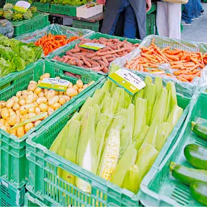 La France doit préserver sa souveraineté alimentaire, malgré un contexte difficile. 