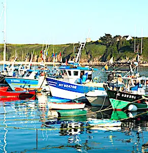 Dans les îles du Ponant, une association veille à sauvegarder l’environnement breton.