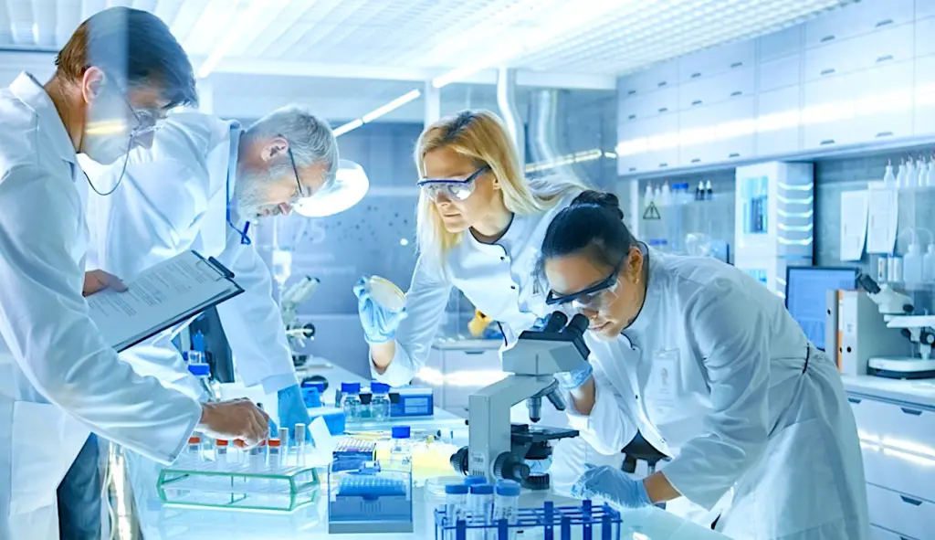 Pour relocaliser les produits pharmaceutiques en France, le Centre-Val de Loire se mobilise.