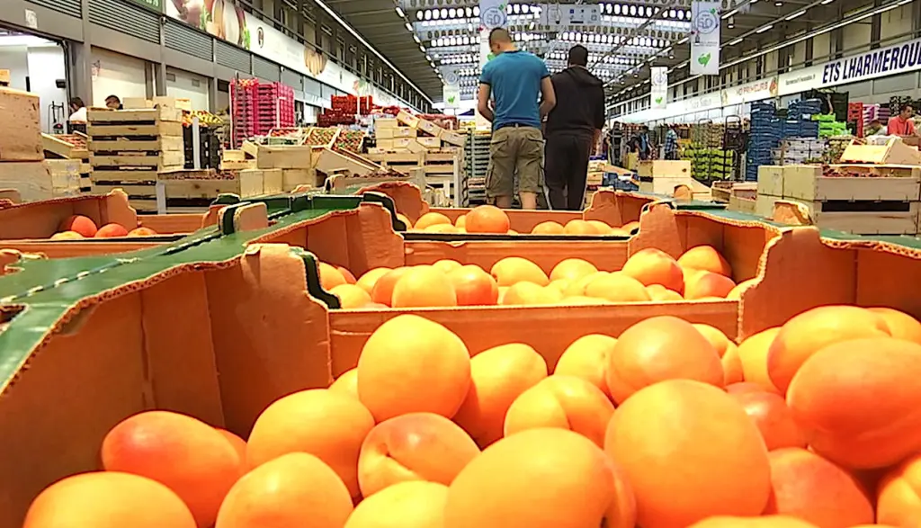 Un projet d'extension du marché de Rungis pose aujourd'hui question dans le Val-de-Marne.