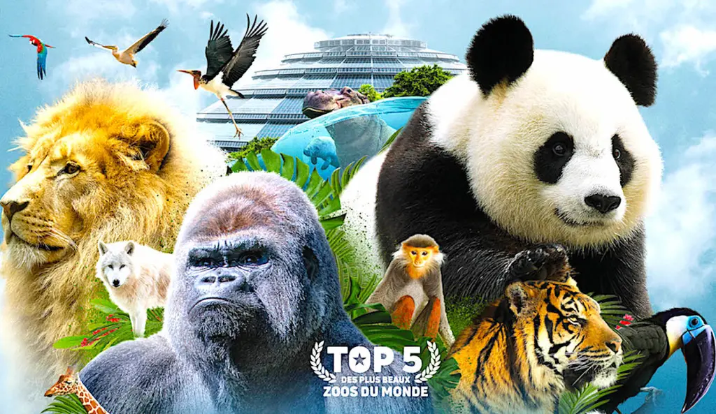 Le ZooParc de Beauval va bientôt pouvoir rouvrir ses portes.