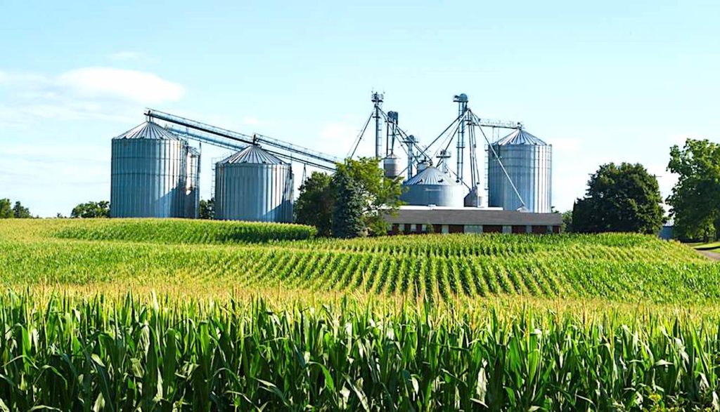 Les avantages de l’agriculture connectée sont multiples et connus du monde agricole.