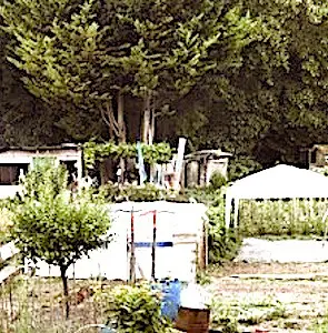 Un jardin ouvrier d'Aubervilliers  Une menace plane aujourd'hui sur les jardins ouvriers d'Aubervilliers. Une mobilisation pour les protéger est en cours.
