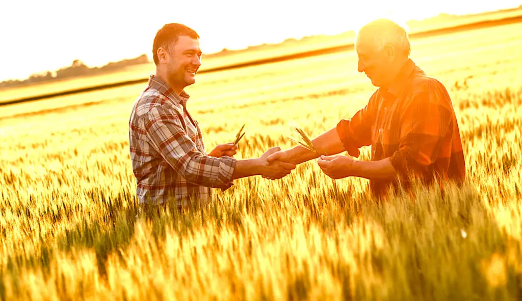Les agriculteurs en réseaux ont des échanges beaucoup plus fréquents.