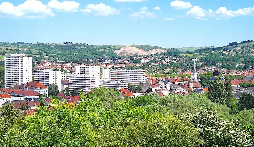 L'opération "Permis de végétaliser » à Cusset va rendre cette ville auvergnate plus verte.