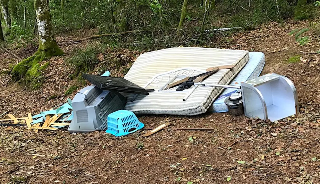 Les dépôts sauvages en Lorraine sont un fléau illégal récurrent.