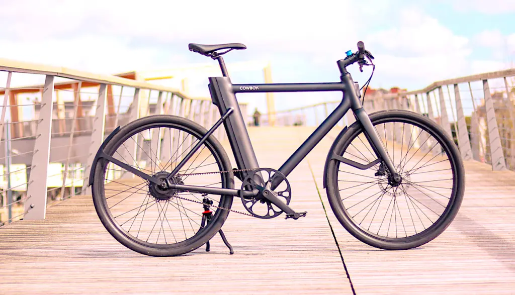 Le grand attrait pour les vélos électriques alimente un marché en pleine expansion.