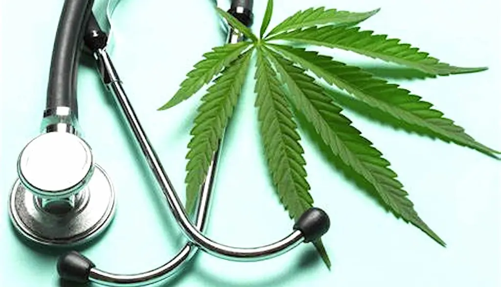 Dans un premier temps, l'usage du cannabis médical va être expérimenté en France pendant deux ans.