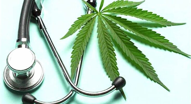Dans un premier temps, l'usage du cannabis médical va être expérimenté en France pendant deux ans.