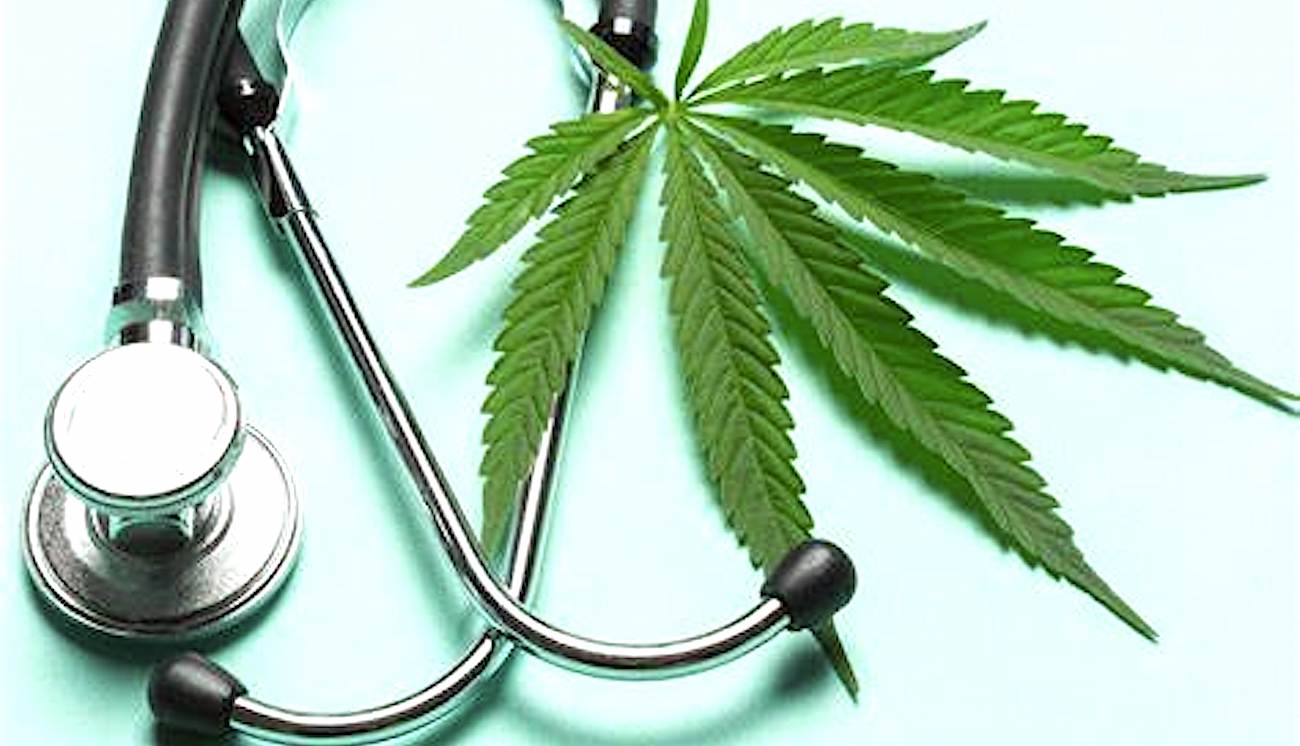 Dans un premier temps, l'usage du cannabis médical va être expérimenté en France pendant deux ans.
