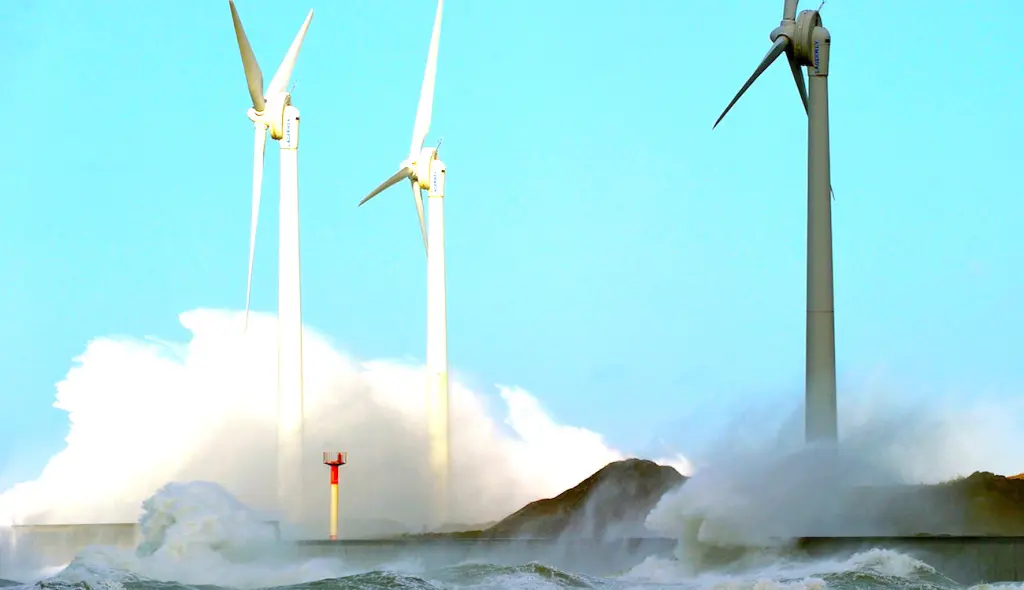 Un futur parc éolien marin en Normandie mobilise des associations locales qui s'y opposent.