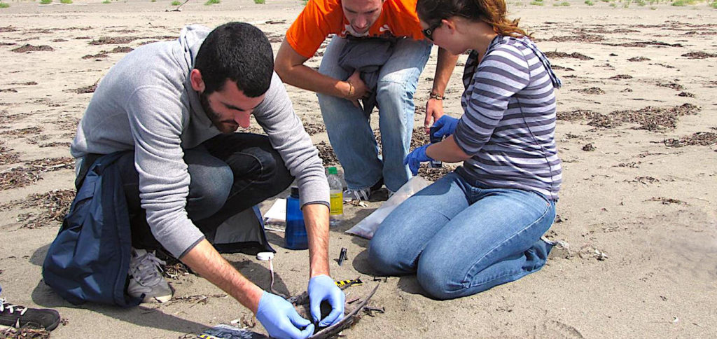 Le nettoyage des plages françaises souillées, notamment durant la période estivale, revient cher aux communautés riveraines.
