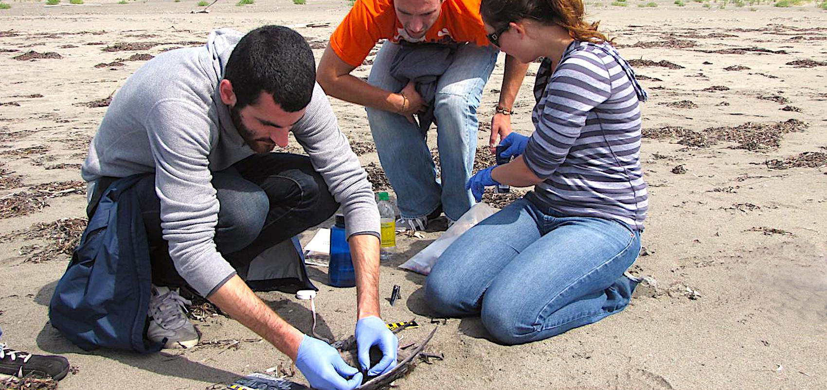 Le nettoyage des plages françaises souillées, notamment durant la période estivale, revient cher aux communautés riveraines.
