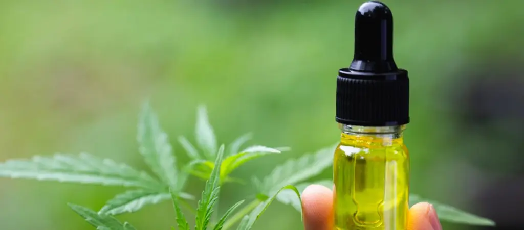 L’essor français du CBD marque aujourd'hui une hausse de sa consommation.