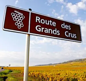 Les plaisirs des routes des vins permettent de faire de belles découvertes sur tout le territoire, bien pourvu en vignobles variés. 