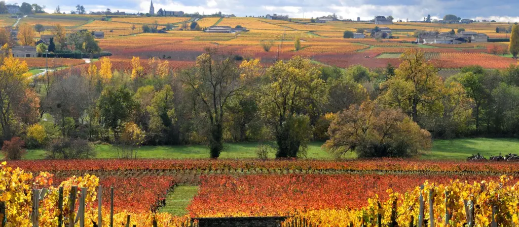 Les vins de Savoie réservent des découvertes encore meilleures en automne, grâce à leurs cépages très particuliers, adaptés au temps frais.