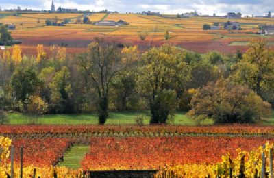 Les vins de Savoie réservent des découvertes encore meilleures en automne, grâce à leurs cépages très particuliers, adaptés au temps frais.