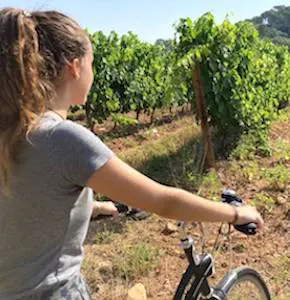 Dans quelques jours, un agréable week-end en Alsace permettra de partir à la découverte d’excellents crus de cette région très viticole. 