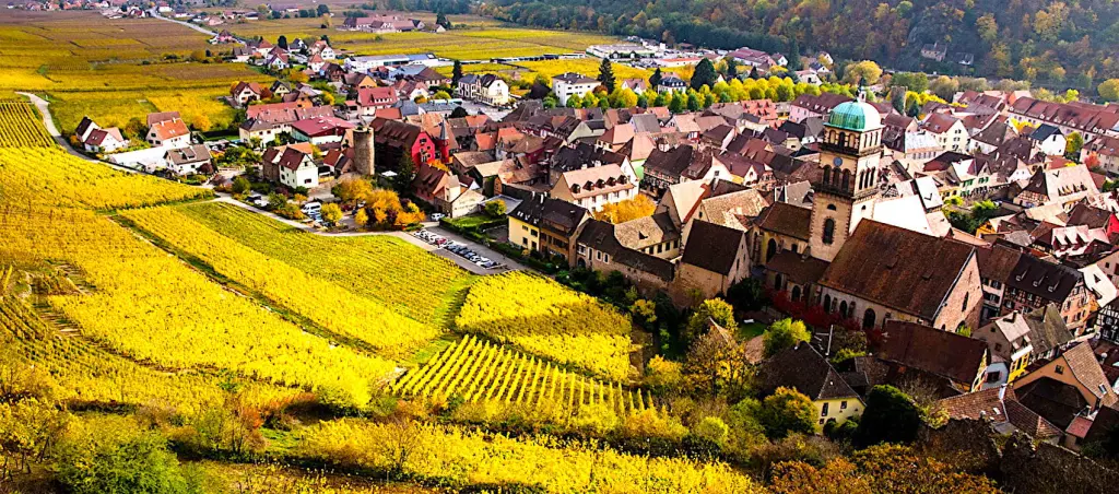 Pour dynamiser les petites communes, redevenues attractives avec la crise sanitaire, différents dispositifs gouvernementaux existent.