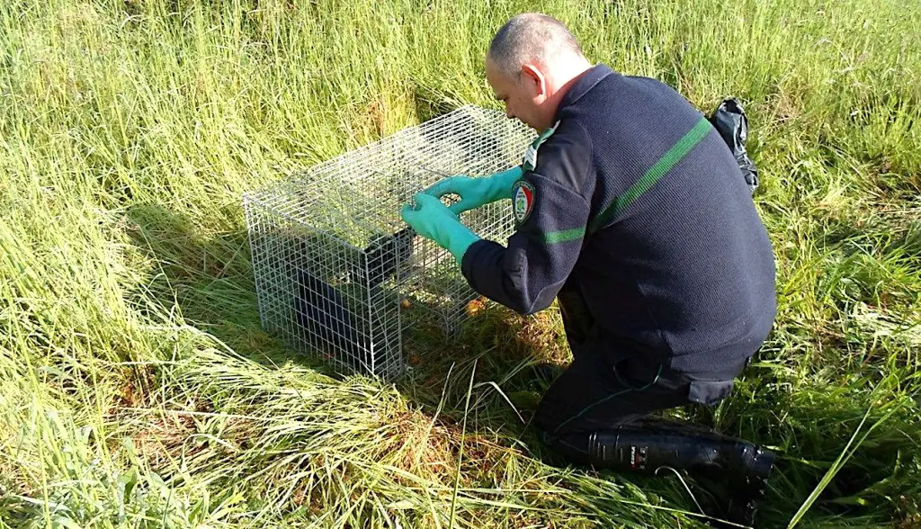 L’opposition des gardes champêtres refuse le principe que les chasseurs obtiennent des droits de police.