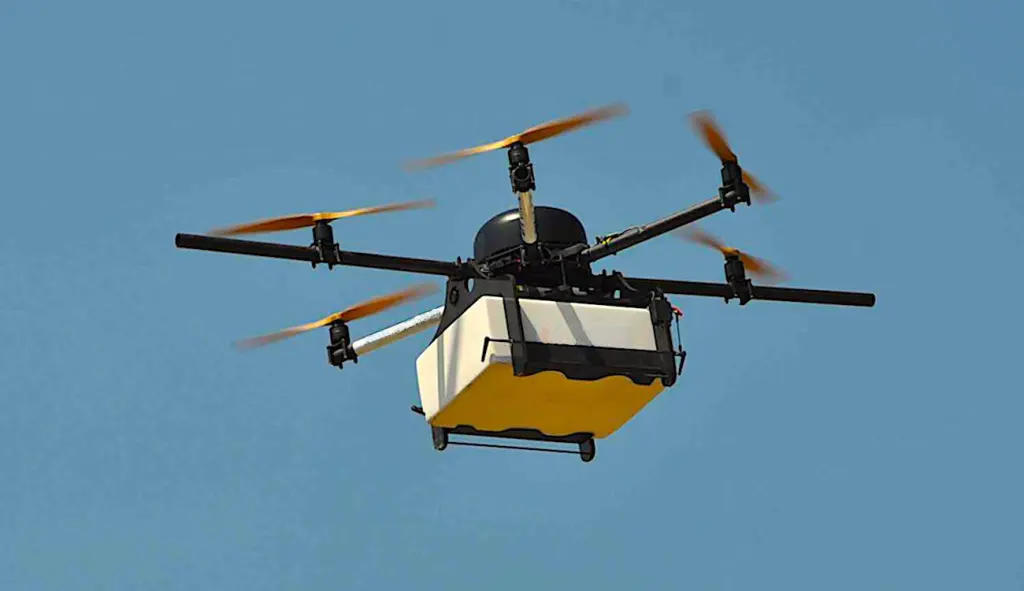 Des livraisons par drones ont eu lieu sans le moindre incident à l'intérieur du Marché de Rungis. Ce test ouvre des perspectives d'avenir.