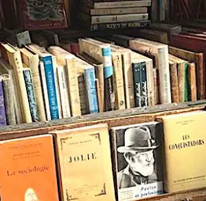 photo de livres pour Genario le logiciel d'intelligence artificielle 