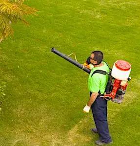 Les maires anti-pesticides des Hauts-de-Seine veulent continuer leur action, malgré les nombreux rejets par les tribunaux de leurs arrêtés municipaux