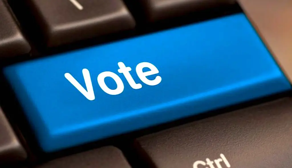 Des études ont révélé que les obstacles au vote électoral en ligne dépasse la technique. De plus, Internet n'éviterait pas les abstentions.