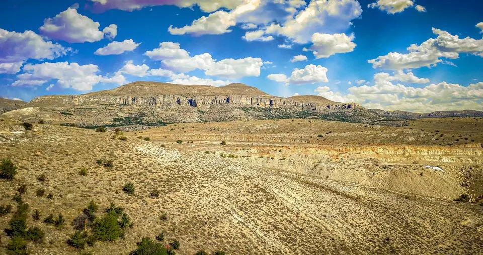 Des sapins de Noël pour ralentir l'érosion des dunes. Invraisemblable ? Peut-être bien ! L'initiative a cependant déjà été testée avec succès dans certaines régions en France.