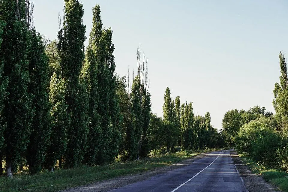 Montflours, en Mayenne, les habitants plantent une forêt urbaine 