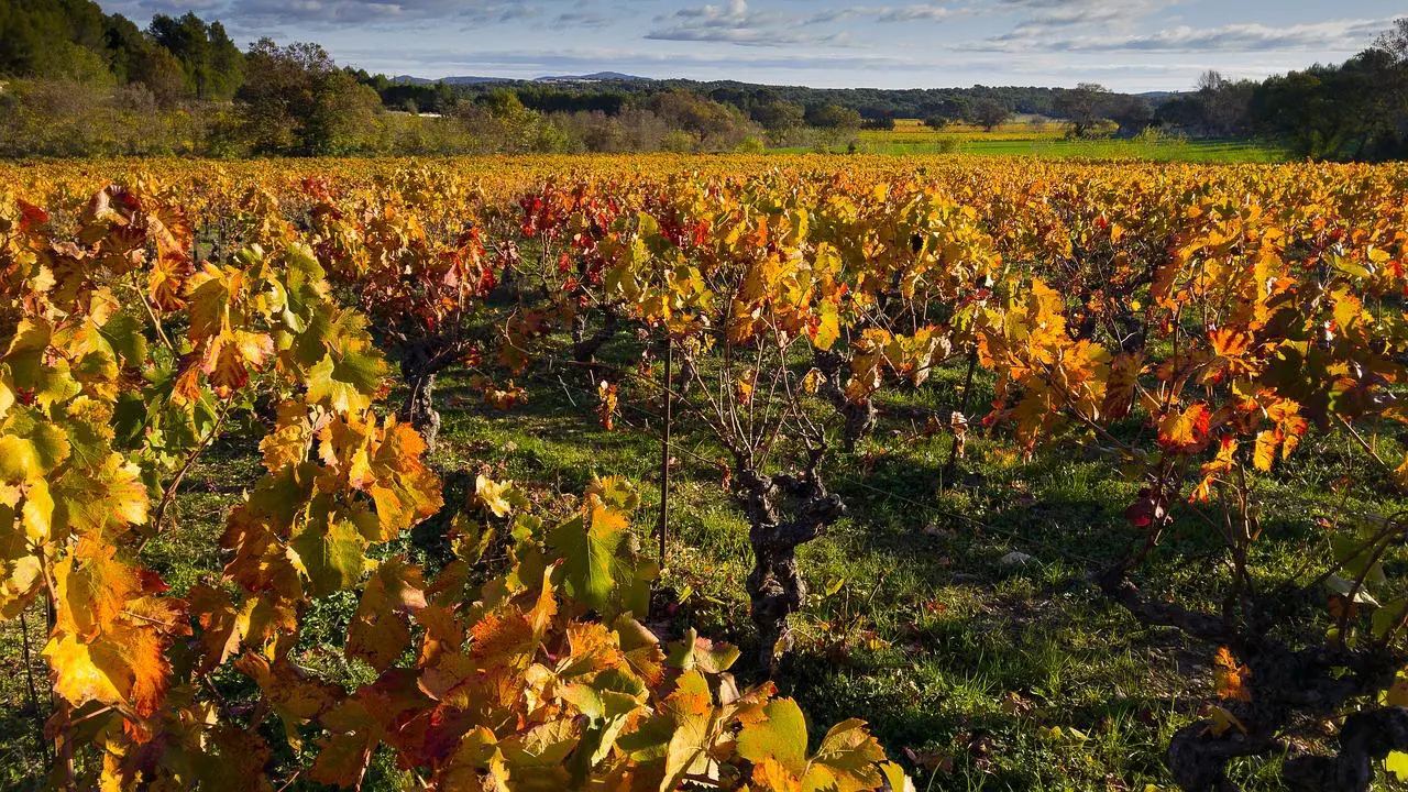 6 destinations à découvrir Vignobles & Découvertes