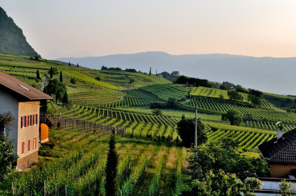 La route des vins dans le Bade-Wurtemberg