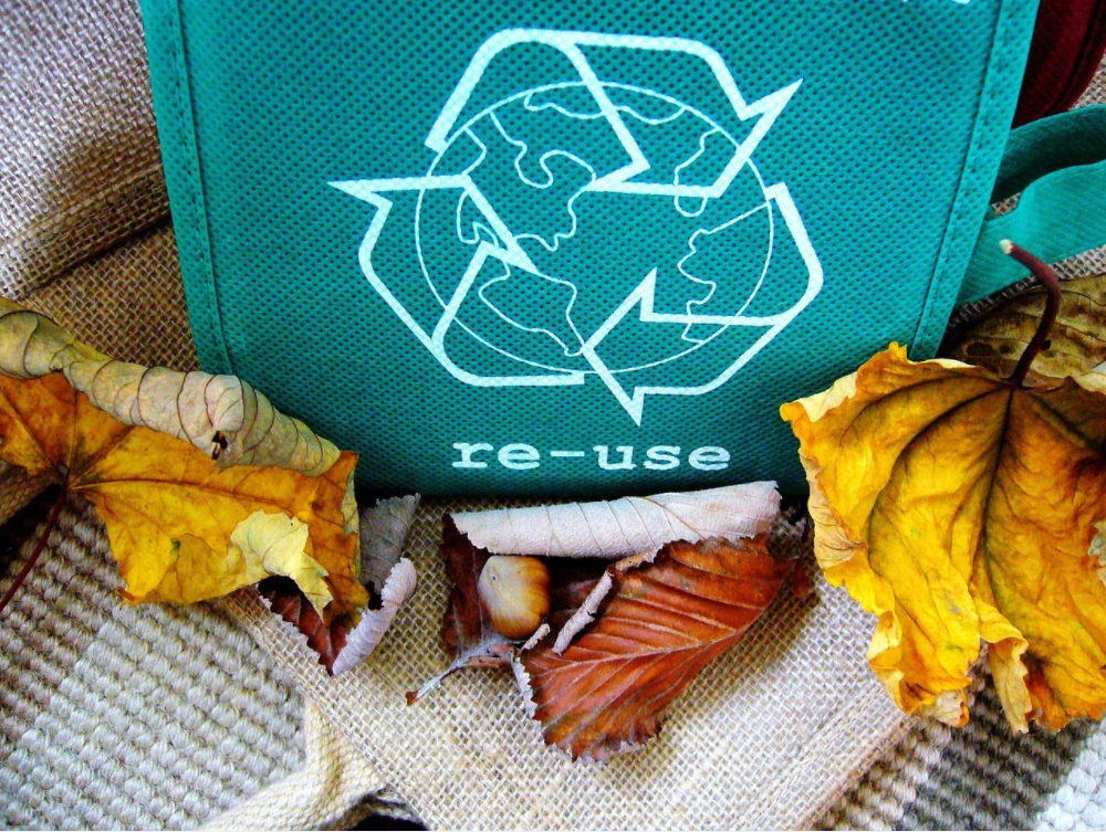 recyclerie consacrée au matériel de bricolage