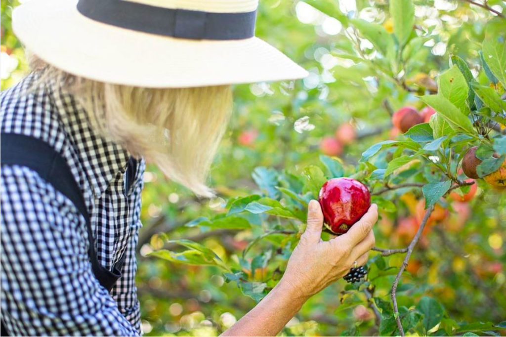 la biodiversité grâce à des efforts particuliers liés à la plantation de jardins nutritifs