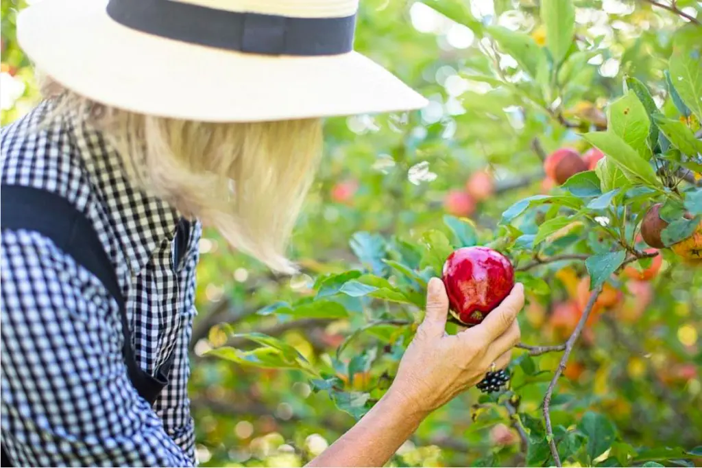 la biodiversité grâce à des efforts particuliers liés à la plantation de jardins nutritifs