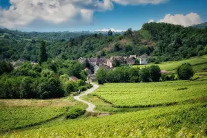 Quelques villes incluses dans le projet 