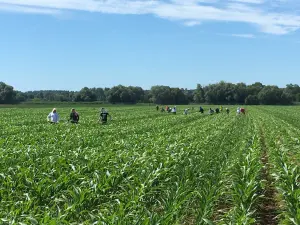 L'eau du robinet interdite dans le Jura  