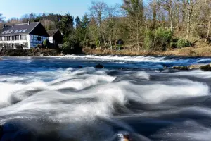 Restauration des cours d'eau