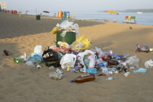 Nettoyage mécanique des plages 
