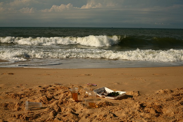 Nettoyage mécanique des plages 