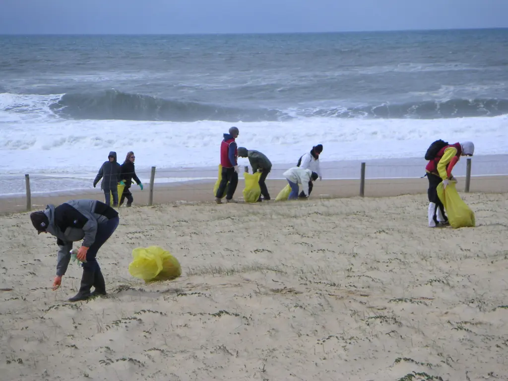 Nettoyage mécanique des plages