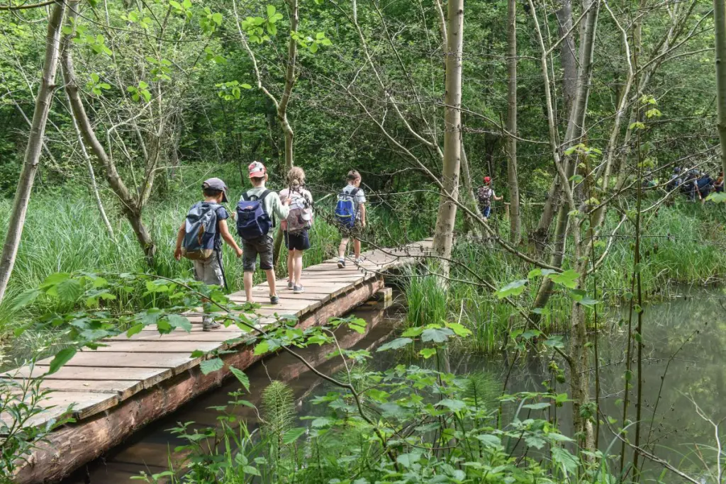 protection-biodiversite-bourgogne