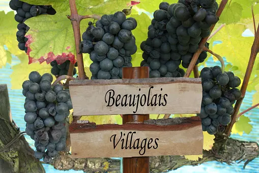 quelles sont les etapes de la route des vins du beaujolais