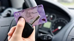 Permis de conduire pour voter et voyager