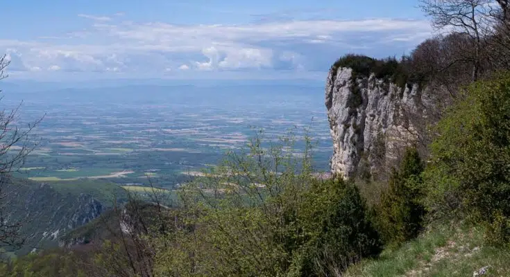 Meuse foret Hêtre