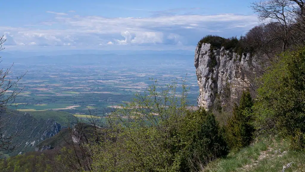 Meuse foret Hêtre