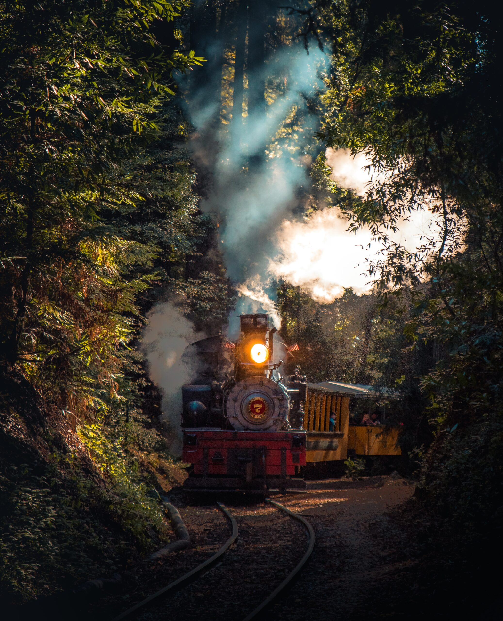 Le train du vin