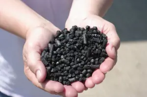Le Biochar espoir