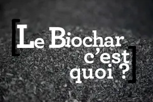 Le Biochar espoir