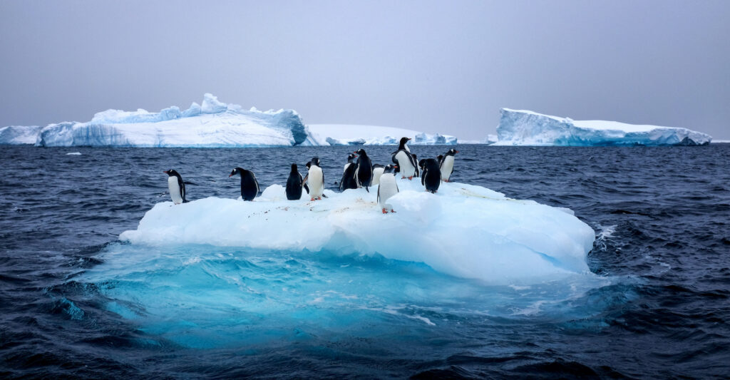 Fonte de la banquise de l'Antarctique